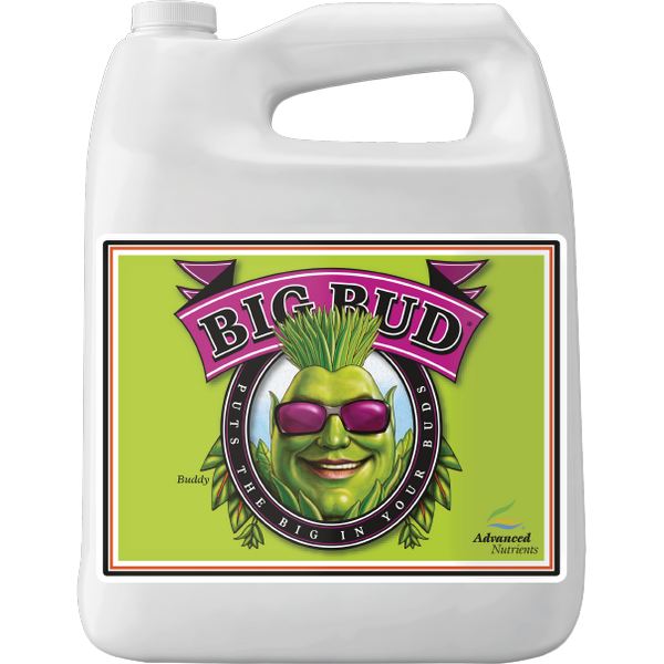 Advanced Big Bud